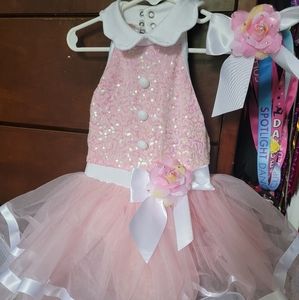 Beautiful Pink Costume